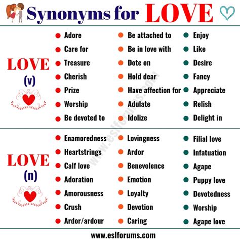 devoted synonym|another word for devoted love.